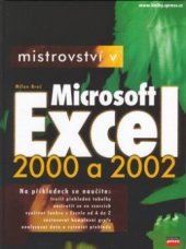 kniha Mistrovství v Microsoft Excel 2000 a 2002, CPress 2002