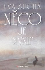 kniha Něco je jinak, Beletris 2013