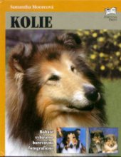 kniha Kolie, Fortuna Libri 2001