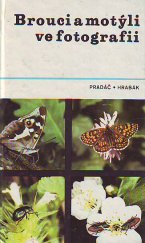 kniha Brouci a motýli ve fotografii, SZN 1982