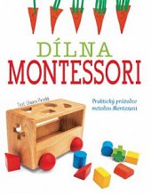 kniha Dílna Montessiri Praktický průvodce metodou Montessori , Dobrovský 2020