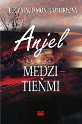 kniha Anjel medzi tieňmi, Mladé letá 2008