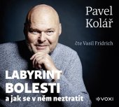 kniha Labyrint bolesti a jak se v něm neztratit, VOXI 2025