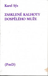 kniha Zasklené kalhoty dospělého muže, PmD - Poezie mimo Domov 1992