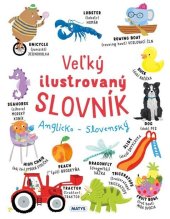 kniha Veľký ilustrovaný slovník Anglicko - Slovenský, Matys 2024