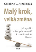 kniha Malý krok, velká změna - Jak využít mikropředsevzetí k trvalé změně života, Euromedia 2014