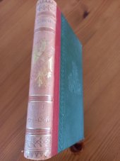 kniha Česká kronika díl 1. - část 2, E. Beaufort 1893