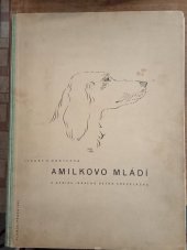kniha Amilkovo mládí z deníku irského setra křepeláčka, Plamja 1935