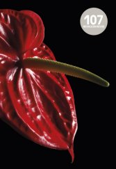 kniha Revolver Revue 107., Revolver Revue 2017