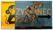 kniha Chrudošův zvěřinec Chrudošova televize, Baobab 2013