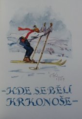 kniha Kde se bělí Krkonoše vzpomínkový sborník : Vysoké n. Jiz. 1834-1934, Sjezdový výbor 1934