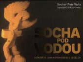kniha Socha pod vodou, Princo International 2012