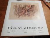 kniha Václav Zykmund [katalog výstavy], Praha 1995, Galerie Peithner-Lichtenfels 1995