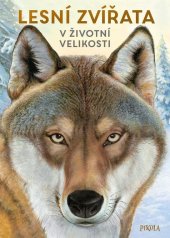 kniha Lesní zvířata v životní velikosti, Pikola 2022