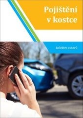 kniha Pojištění v kostce, Knihy Radosti 2020