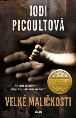 kniha Velké maličkosti Co byste poslechli vy - něčí příkaz, nebo svoje svědomí? - edice Světový bestseller, Ikar 2017