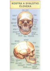 kniha Kostra a svalstvo človeka, Miloslav Holman 2011