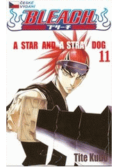 kniha Bleach 11. - A star and stray dog, Crew 2014