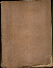 kniha Třásničky dějinných dnů, Polygrafie 1919