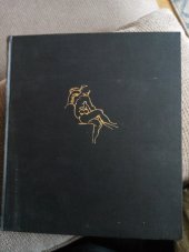kniha Michelangelo Sochař, malíř, stavitel, básník, Fr. Borový 1941