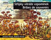 kniha Střípky vitráže vzpomínek Bribes de souvenirs, Mare-Czech 2025