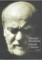 kniha Zápisky z blázince, Artur 2008