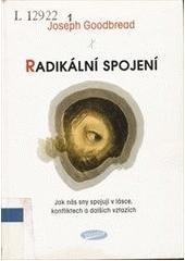 kniha Radikální spojení jak nás sny spojují v lásce, konfliktech a dalších vztazích, Votobia 2006