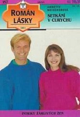 kniha Setkání v Curychu, Ivo Železný 1995