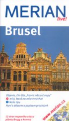 kniha Brusel, Vašut 2006