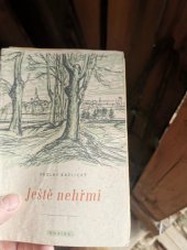 kniha Ještě nehřmí [román], Novina 1944