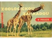 kniha Průvodce zoologickou zahradou v Praze, Sportovní a turistické nakladatelství 1965