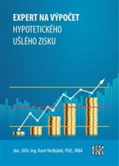 kniha Expert na ušlý zisk, hypotetický zisk a újmu, Čibe a.s., advokátní kancelář K.Nedbálek 2022