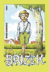 kniha Břízek, Sursum 2025