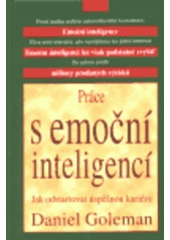 kniha Práce s emoční inteligencí, Columbus 2000