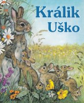 kniha Králik Uško, Ottovo nakladateľstvo 2025