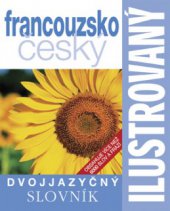 kniha Dvojjazyčný ilustrovaný slovník, Slovart 2006