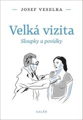 kniha Velká vizita Sloupky a povídky, Galén 2020