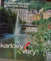 kniha Karlovy Vary putevoditel po centru kurorta, Alena Halámková 2007