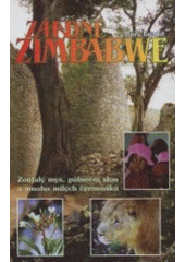 kniha Záhadné Zimbabwe, SURF 2000