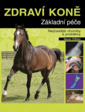 kniha Zdraví koně základní péče : nejčastější choroby a problémy, Metafora 2009
