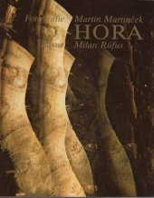 kniha Hora, Osveta 1978
