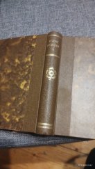 kniha Cestou - necestou povídky a črty, Dědictví sv. Jana Nepomuckého 1924