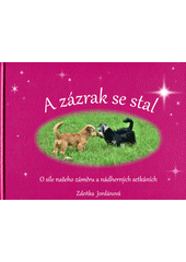 kniha A zázrak se stal O síle našeho záměru a nádherných setkáních, Vodnář 2017