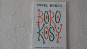 kniha Borokosy (řeči na mezi), Nejmenší Nezávislé Nakladatelství 1996