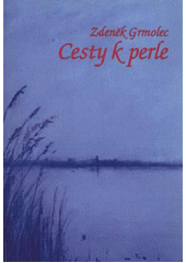 kniha Cesty k perle, Albert 2011