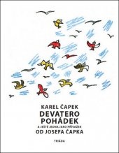 kniha Devatero pohádek  a ještě jedna od Josefa Čapka, Triada 2013