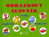 kniha Obrázkový slovník [česky, anglicky, německy, Blug 2005