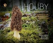 kniha Houby Berounska a Hořovicka Za tajemstvím hub od Křivoklátska a Brd až po Český kras, Machart 2021