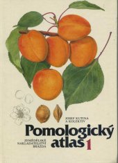 kniha Pomologický atlas 1 Sv. 1, - Peckoviny, skořápkoviny, réva vinná, okrajové druhy, Brázda 1991
