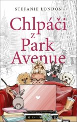 kniha Chlpáči z Park Avenue, Slovenský spisovateľ 2024